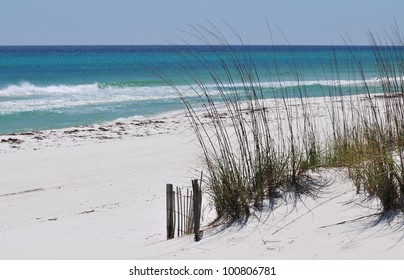 Pensacola Beach Sand Dunes
