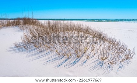 Pensacola Beach Seascape, bright white sand dune and wild plants in Gulf Islands National Seashore in Florida, USA