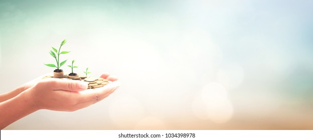 Pension fund concept: Human hands save holding stack of golden coin with small tree on blurred nature background