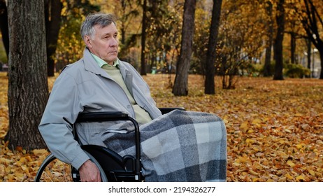 Pensive Caucasian Male Mature Man Grandfather Ride By Wheelchair In Autumn Park Sad Serious Senior Older Age Person Retired Pensioner With Disable Health Problem Feel Worry Lonely Spend Time Outside