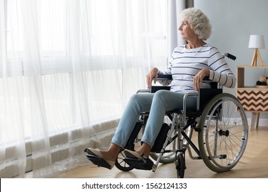 Pensive Disabled Senior Grandma Patient Sit On Wheelchair Alone At Home Hospital Look Through Window, Thoughtful Sad Old Woman Feel Depressed Lonely, Retired People Disability And Loneliness Concept