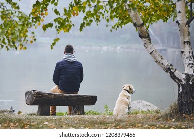 Pensive Man With Dog Is Contemplation On Wooden Bench Near Pond In Autumn Nature.