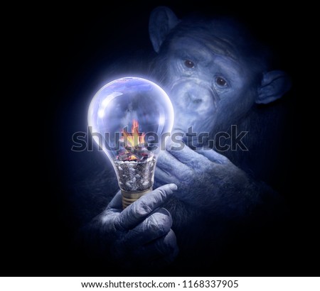Pensive monkey observing a light bulb. Smart chimpanzee with intrigued look. Invention or solution search concept.