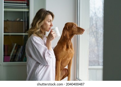 Pensive woman owner and her Vizsla dog sitting together on windowsill, holding cup of coffee, thinking and looking through the window. Love for pet. Sweet home, real life concept. 