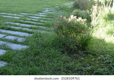 Pentas lanceolata and stone steps in the courtyard - Powered by Shutterstock