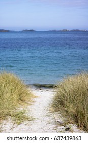 Pentle Bay On Tresco Island, Scilly. White Sand Dunes And Beachgrass.