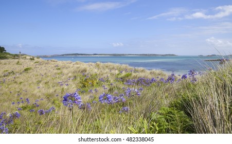 Pentle Bay, Tresco, Isles Of Scilly, England