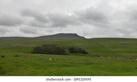 Pen-y-ghent, Yorkshire, Hill, Mountain, Peak, Dales, United Kingdom, UK, England, National Park