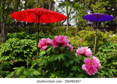 Peony