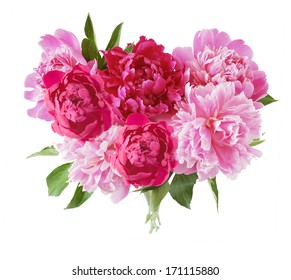 Peony bunch isolated white