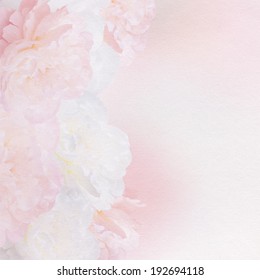  Peony Flower On Pastel Background With Copy Space.