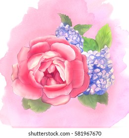 Peony and hydrangea. Watercolor. Set No. 7