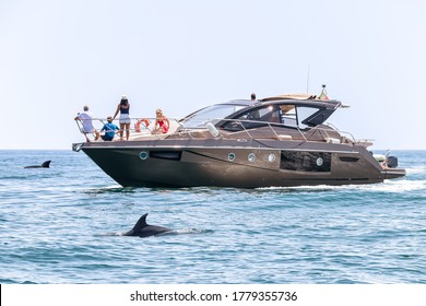 People Aboard A Luxury Yacht Watching Dolphins, Lagos, Algarve, Portugal