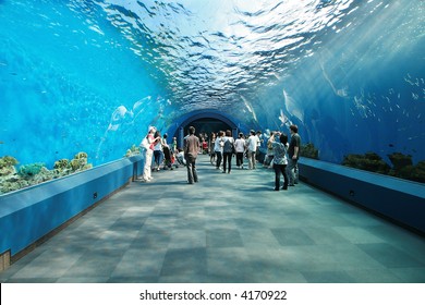 People In Aquarium Tunnel