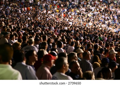 People At A Baseball Game