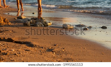 People beach feet close-up. Small waves roll up on the shore and the tracks. Summer vacation on a tropical beach. Atmospheric background in the sunset light. The concept of rest, relaxation, privacy.