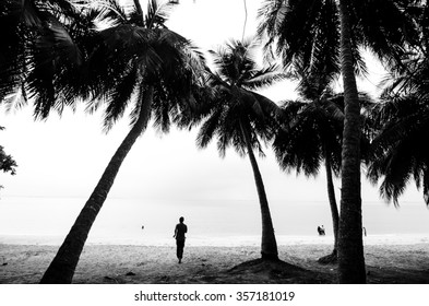 People at the beach with visible coconut trees in silhouette. Black and white photo, soft-focused.