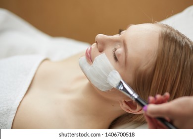 people, beauty, cosmetology and treatment concept - close up of beautiful young woman lying with closed eyes and cosmetologist applying facial mask by brush at spa