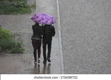 A people in black jackets with one bright perple umbrella walk along the sidewalk near a large puddle on a cold summer rainy day