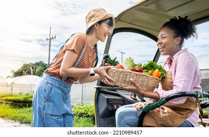 People Buying Fresh Local Vegetable From Farm At Market.Fast Delivery Service Car Driving With Order Business Background Concept.
Farmer Selling His Organic Produce On A Sunny Day.