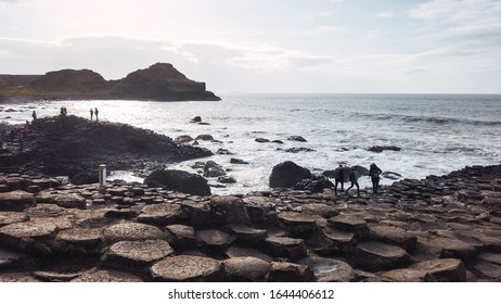 People By The Sea On The Giant's Causeway