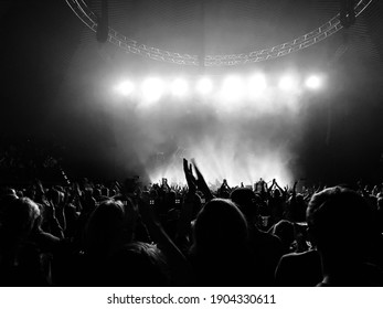 
People celebrating at a concert