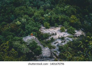 
People Climbing Through Thick Forests