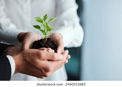 People, closeup and plant in hands or together for earth day, hope for environment or sustainability. Teamwork, tree and soil in palm for commitment to future, carbon footprint or eco friendly