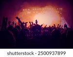 People crowd rock live night event At Music Concert HD Background