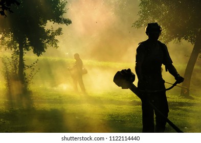 People cutting grass with brush cutter outdoor