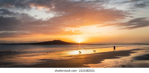People and dog playing at Milford beach at sunrise, Rangitoto Island in the distance, Auckland.