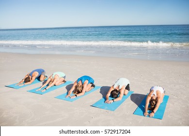 People Doing Yoga On The Beach On A Sunny Day