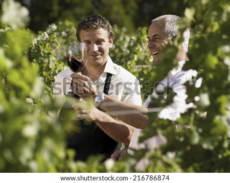 Similar – Image, Stock Photo Vineyards #2