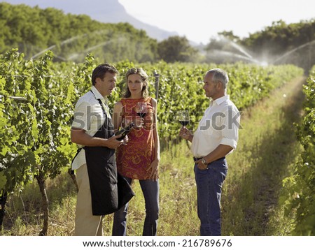 Similar – Image, Stock Photo Vineyards #2