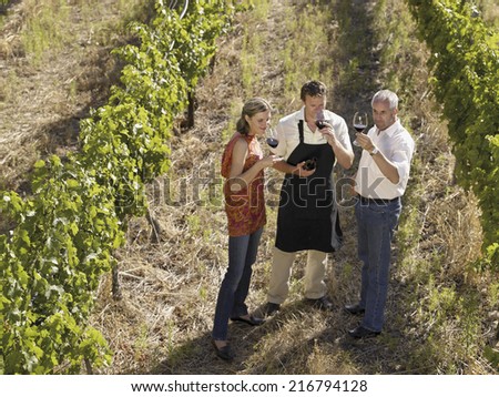 Similar – Image, Stock Photo Vineyards #2