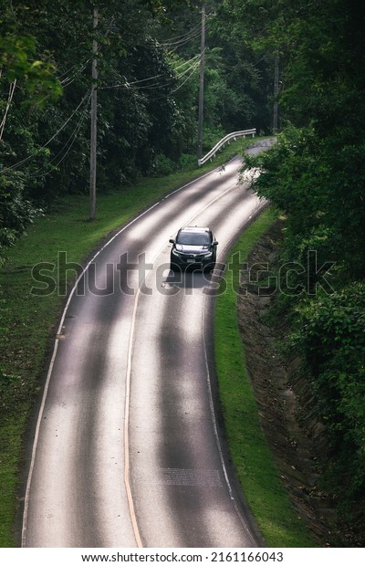 people driving on the road In the beautiful
natural forest on both sides of the road
On Khao Yai National Park
in Thailand 16-05-2022