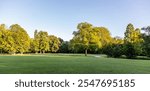 People enjoy picnic on grass at a city park in Rotterdam Netherlands.