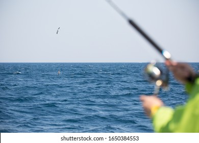 People Enjoying Fishing On A Charter Boat