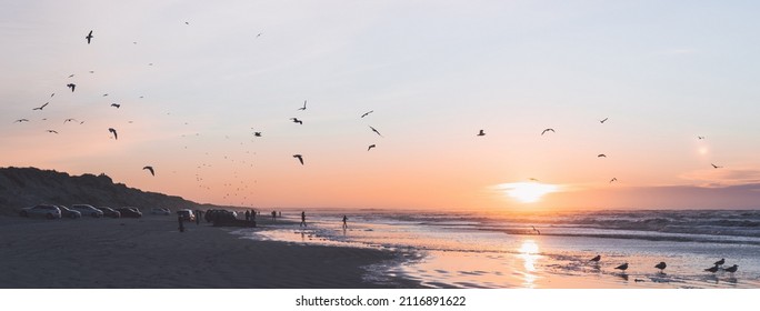 People enjoying the surf of North Sea at beautiful pink sunset and taking photos, seagulls flying. Cars parked along the wide Blokhus Strand beach. Nordjylland (North Jutland Region), Denmark - Shutterstock ID 2116891622