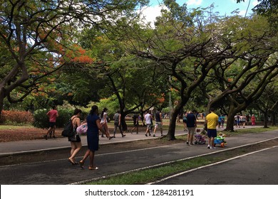People exercising on the track of Jaqueira Park., Recife, Pernambuco, Brazil. 2019/01/13. 