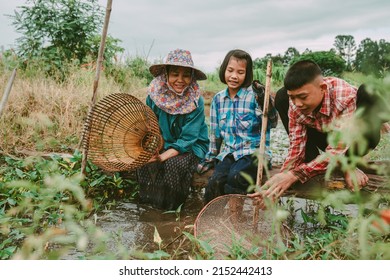 People of farmer in rural catching fish in rice field on summer season, happy children holding equipment for fishing of tradition lifestyle, Asian people family help together work and playing in field - Shutterstock ID 2152442413