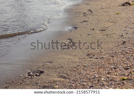 people footprints in the sand near sea