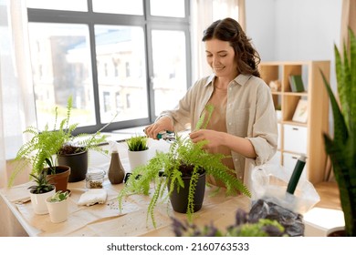 people, gardening and housework concept - happy woman cutting fern flower's leaves with pruner at home - Powered by Shutterstock