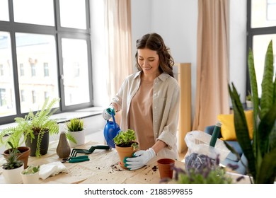 people, gardening and housework concept - happy woman in gloves with watering can planting pot flowers at home - Powered by Shutterstock