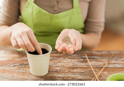 People, Gardening, Seeding And Profession Concept - Close Up Of Woman Hands With Paper Bag And Trowel Sowing Seeds To Soil In Pot