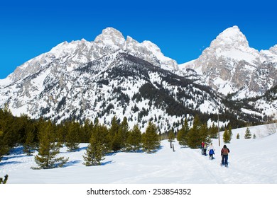 People Go Snowshoeing On The Trail Up The Hill. Wyoming, Grand Teton National Park