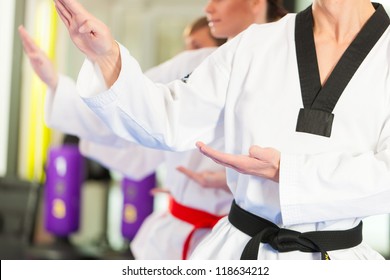 People In A Gym In Martial Arts Training Exercising Taekwondo, The Trainer Has A Black Belt