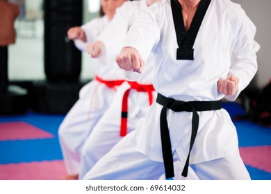 People in a gym in martial arts training exercising Taekwondo, the trainer has a black belt