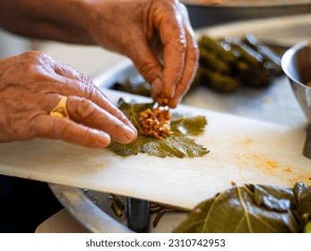 People hands are preparing food. Red Peppers, yellow tomatoes, white zucchini and grape leaves stuffed with minced meat. - Shutterstock ID 2310742953