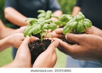 People, hands and support with green plant for growth, sustainability and gardening conservation for earth day. Agriculture, volunteers and leaf in soil fertilizer for development, teamwork or nature - Powered by Shutterstock